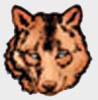 Click here for Cub Scouts